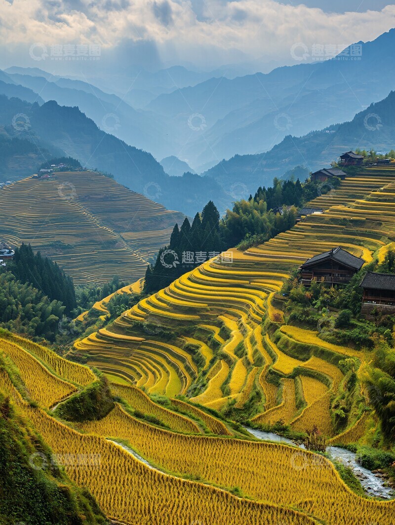 高清大图下载【趣麦麦图】金秋稻田层叠景1
