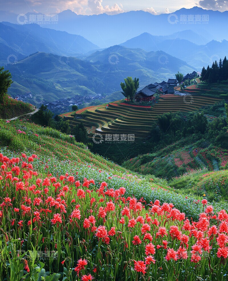 高清大图下载【趣麦麦图】多彩梯田盛景