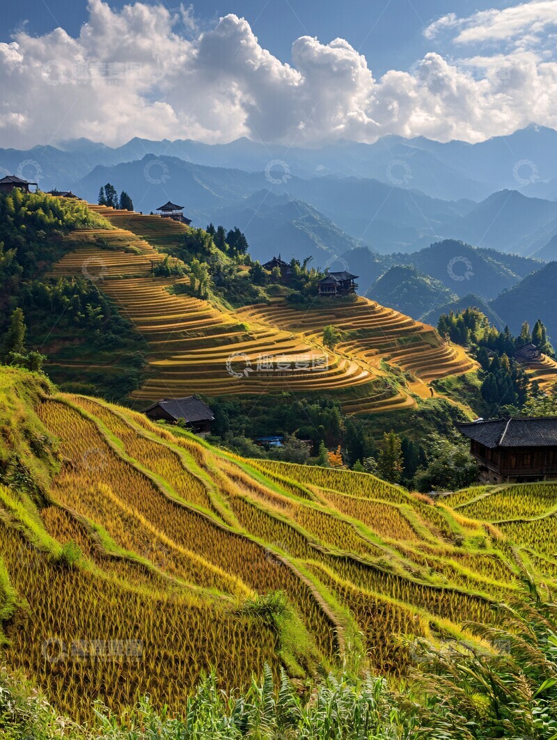 高清大图下载【趣麦麦图】金秋稻田层叠景2