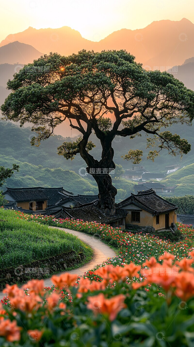 高清大图下载【趣麦麦图】古樟路曲小院1