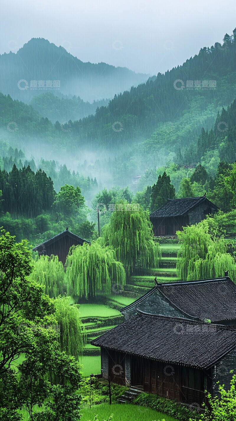 高清大图下载【趣麦麦图】春雨中的农田