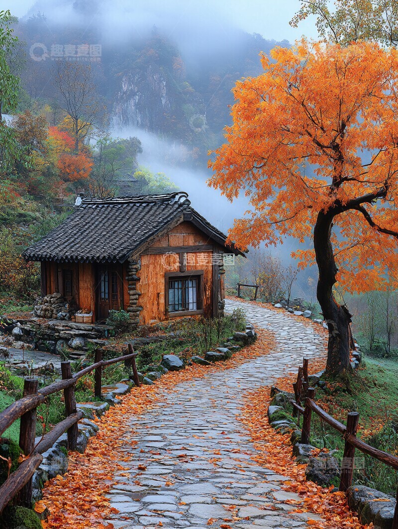 高清大图下载【趣麦麦图】曲径通幽枫叶红