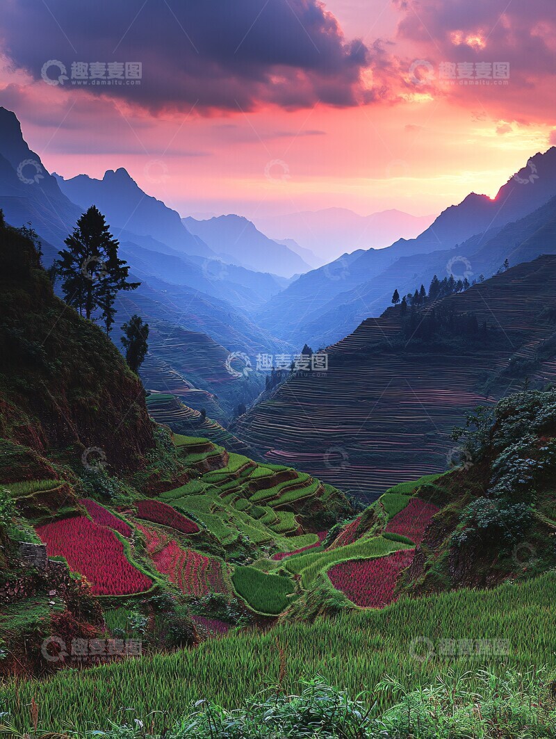 高清大图下载【趣麦麦图】层叠梯田绿意浓2