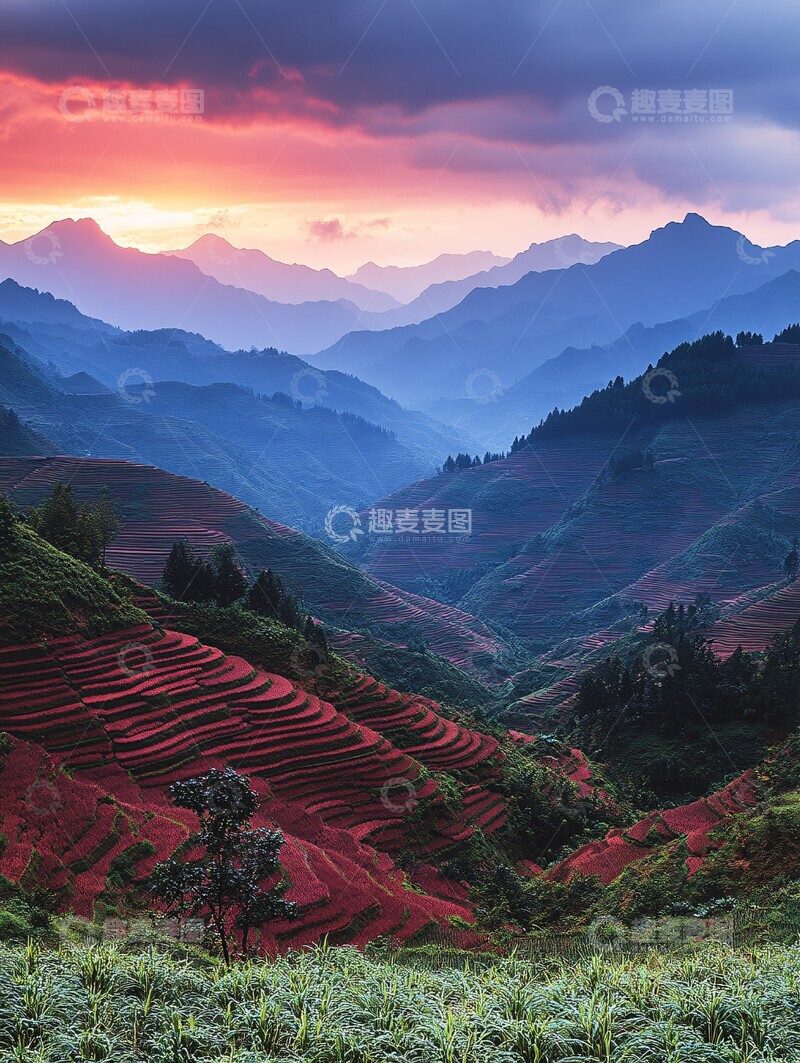 高清大图下载【趣麦麦图】层叠梯田绿意浓3