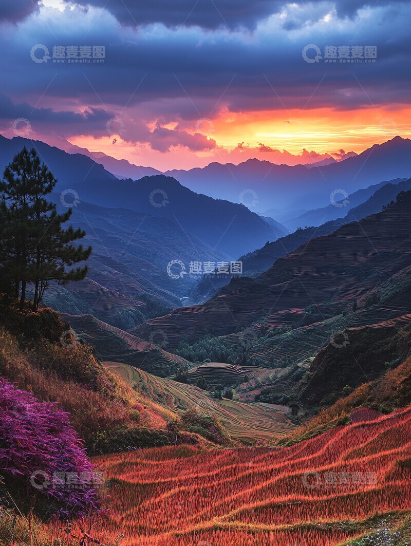 高清大图下载【趣麦麦图】层叠梯田绿意浓1