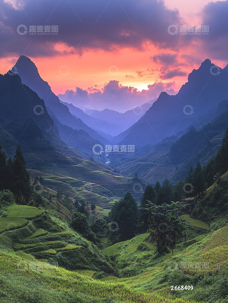 高清大图下载【趣麦麦图】层叠梯田绿意浓