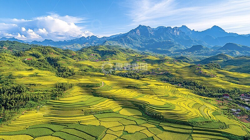 高清大图下载【趣麦麦图】-金色稻田山景2