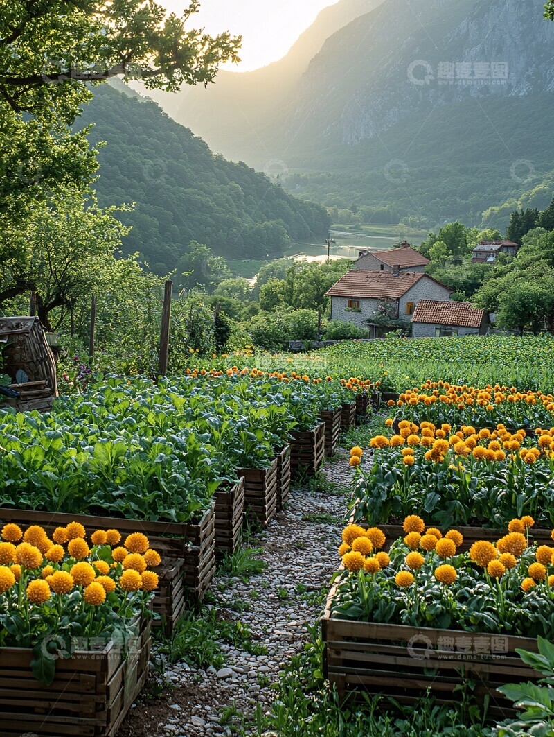 高清大图下载【趣麦麦图】阳光下的蔬菜园3