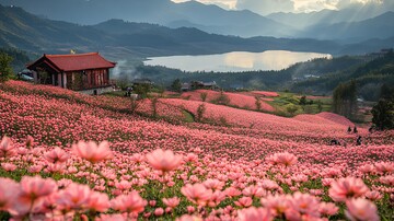 桃花李花映山湖2