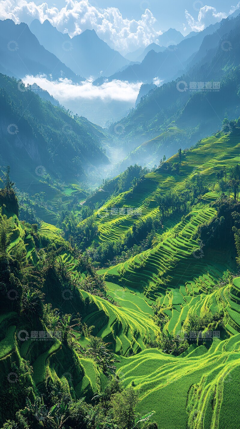 高清大图下载【趣麦麦图】梯田稻谷远山1