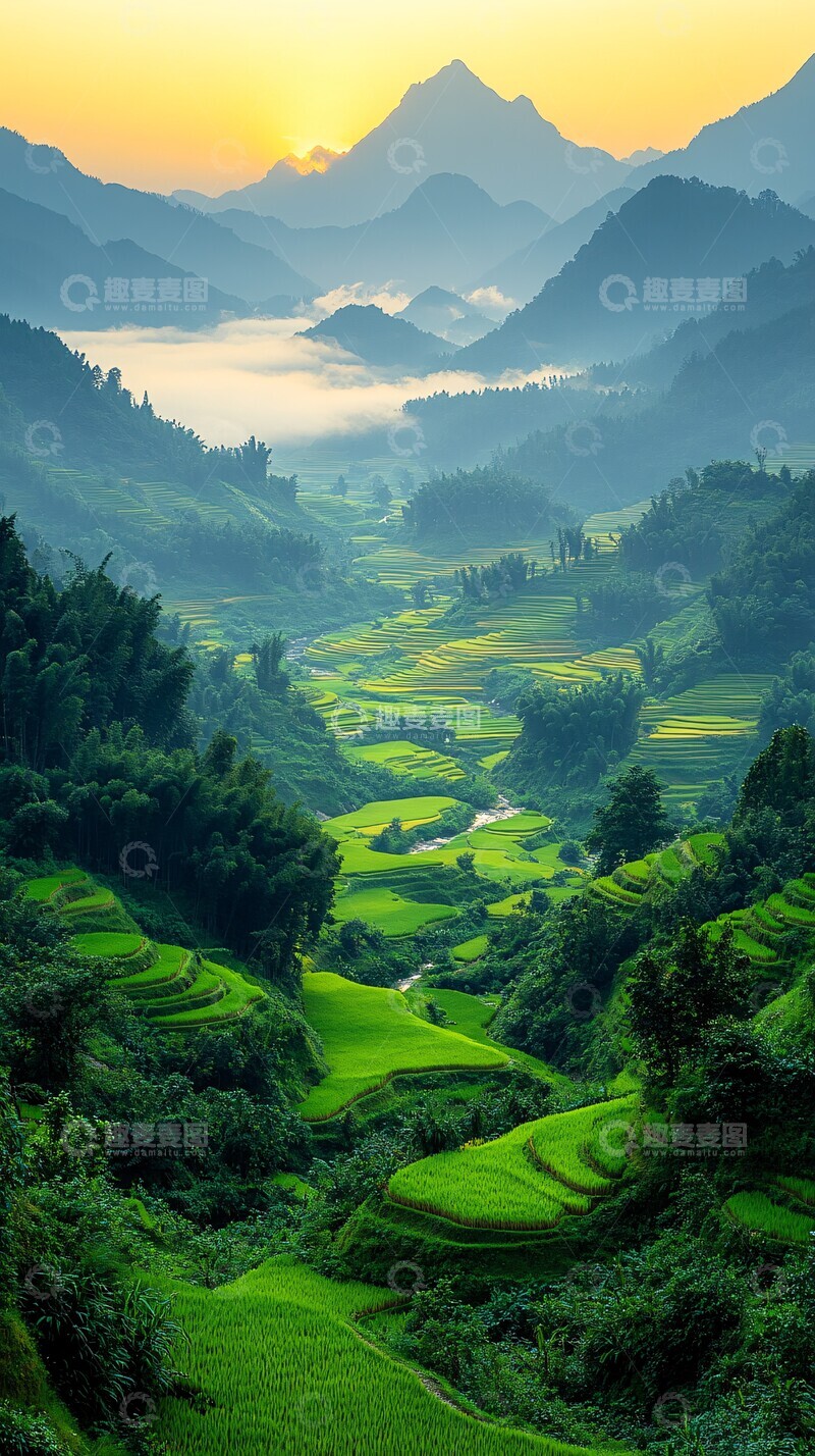 高清大图下载【趣麦麦图】梯田稻谷远山