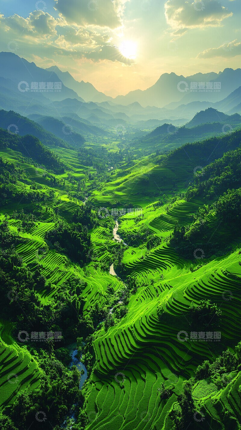 高清大图下载【趣麦麦图】绿稻田风光稻田平原梯田1