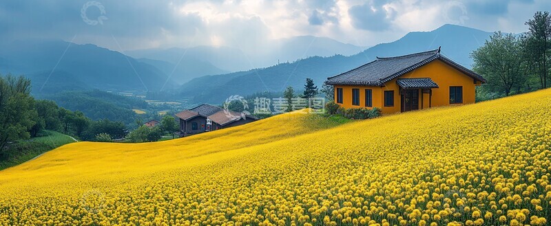 高清大图下载【趣麦麦图】油菜花田乡村景1