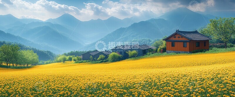 高清大图下载【趣麦麦图】油菜花田乡村景