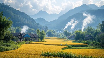 丰收时节田野忙1