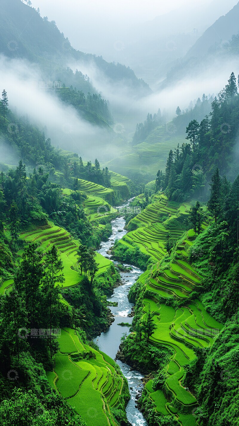 高清大图下载【趣麦麦图】稻田梯田自然光3