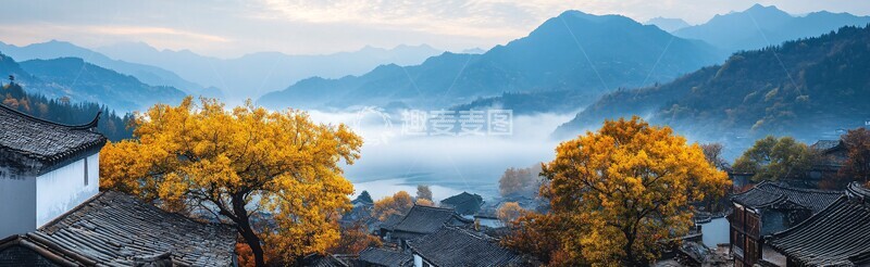 高清大图下载【趣麦麦图】白墙黑瓦柿子树1