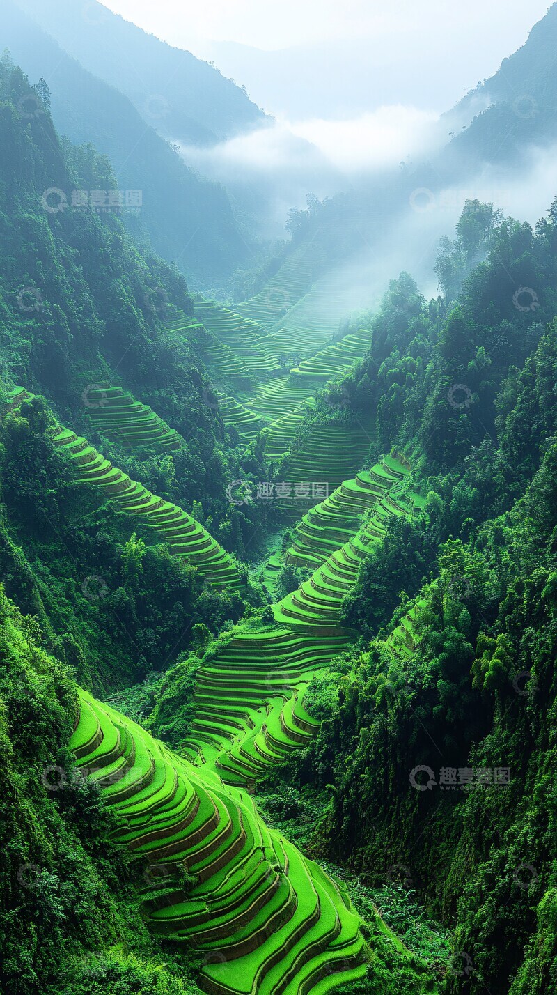 高清大图下载【趣麦麦图】稻田梯田自然光2