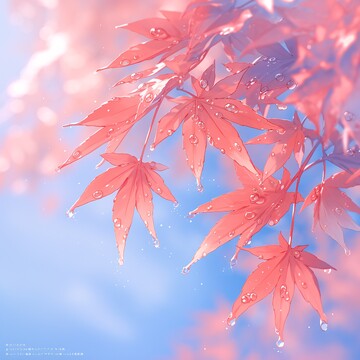 红叶秋露映日光1