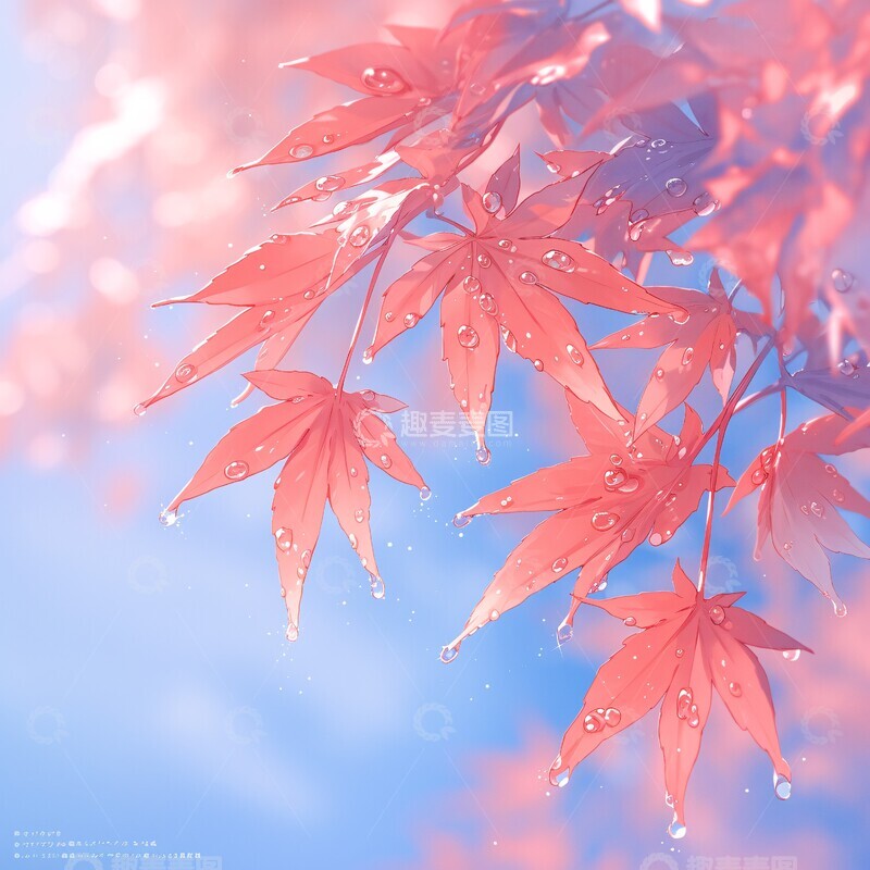 高清大图下载【趣麦麦图】红叶秋露映日光1