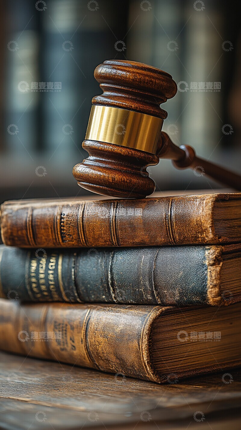 高清大图下载【趣麦麦图】法槌书籍特写