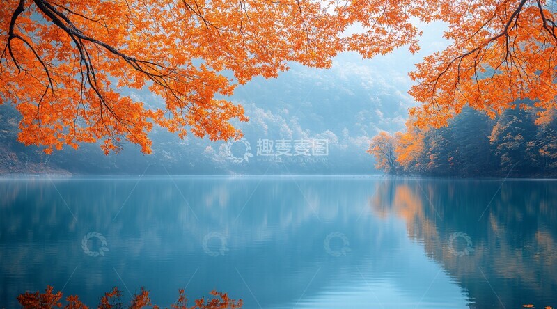 高清大图下载【趣麦麦图】湖畔秋林森林落叶树枝1