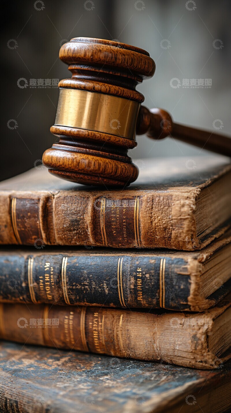 高清大图下载【趣麦麦图】法槌书籍特写1