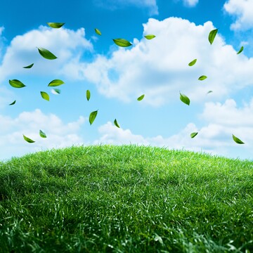 青草山坡蓝天白云2