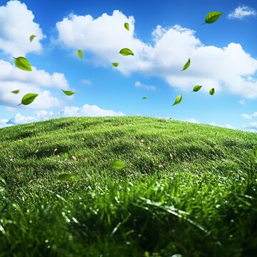 青草山坡蓝天白云3