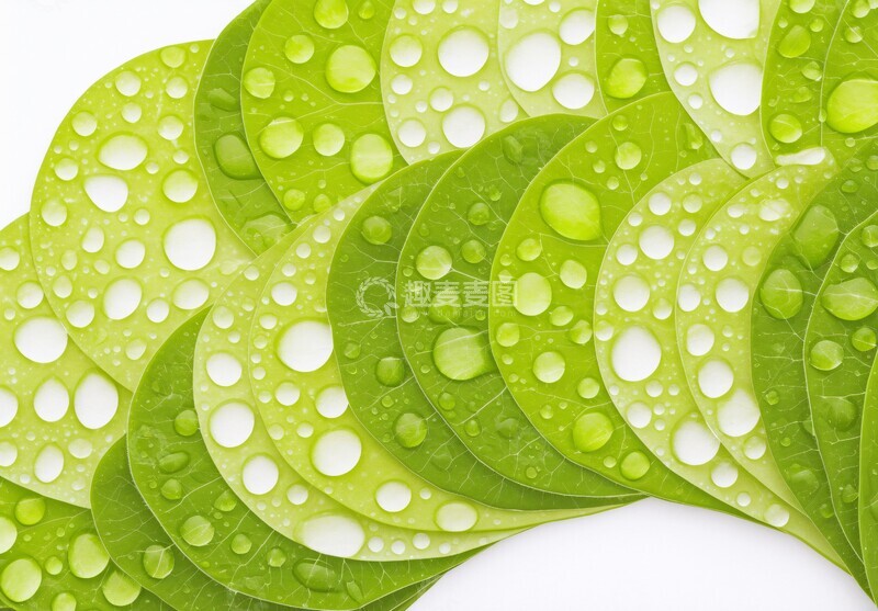 高清大图下载【趣麦麦图】水滴映花水滴背景种子1