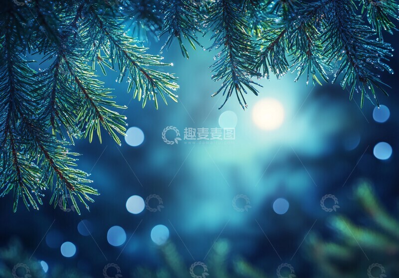 高清大图下载【趣麦麦图】松枝月光特写1