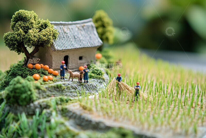 高清大图下载【趣麦麦图】稻田缩微农作场景3