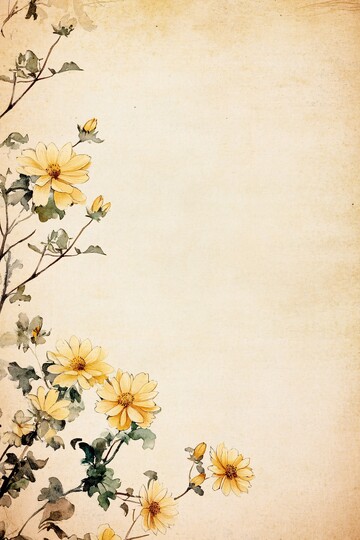 黄色菊花插画2