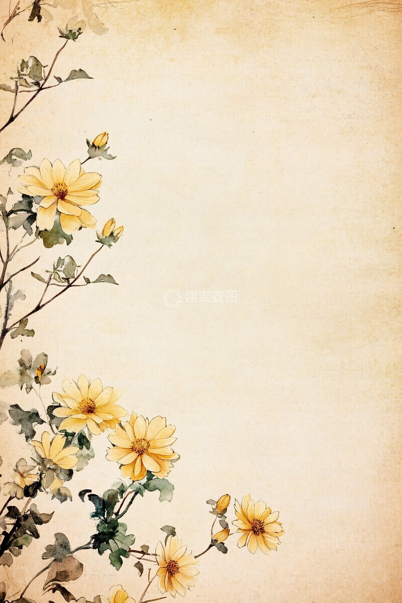 高清大图下载【趣麦麦图】黄色菊花插画2