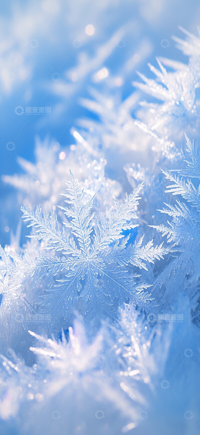 高清大图下载【趣麦麦图】雪地冰晶雪地冰晶雪花2