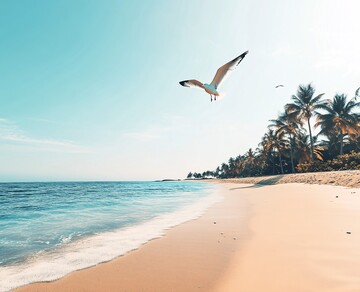 碧海金沙图碧海金沙蓝天