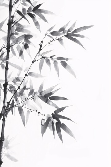竹叶水墨画竹叶水墨线条