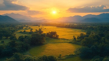 稻田航拍稻田航拍平原2