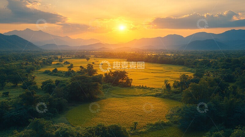 高清大图下载【趣麦麦图】稻田航拍稻田航拍平原2