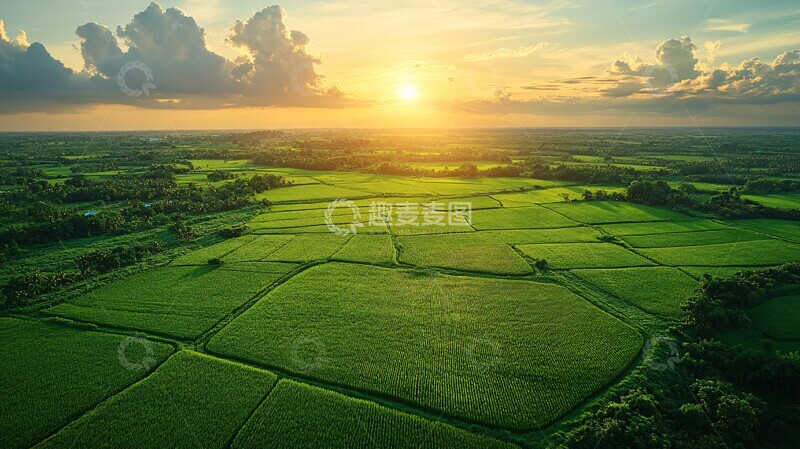 高清大图下载【趣麦麦图】稻田航拍稻田航拍平原