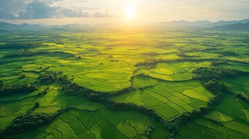 稻田航拍稻田航拍平原3