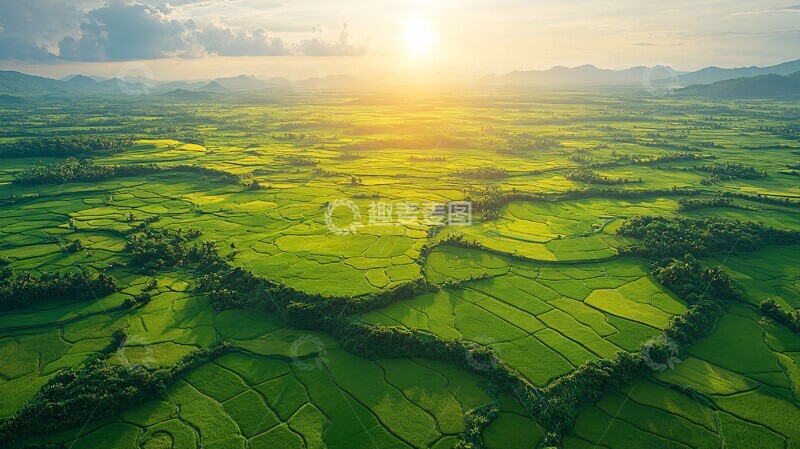高清大图下载【趣麦麦图】稻田航拍稻田航拍平原3