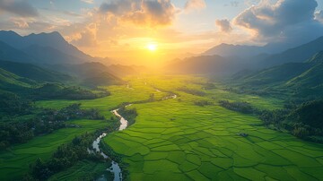 稻田航拍稻田航拍平原1