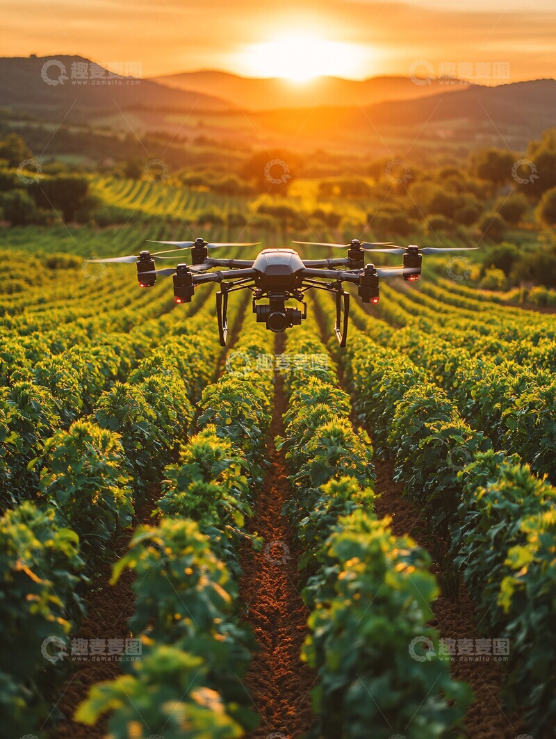 高清大图下载【趣麦麦图】丰收有序的农田1