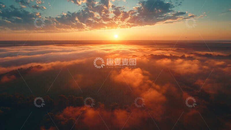 高清大图下载【趣麦麦图】无人机俯瞰大豆田