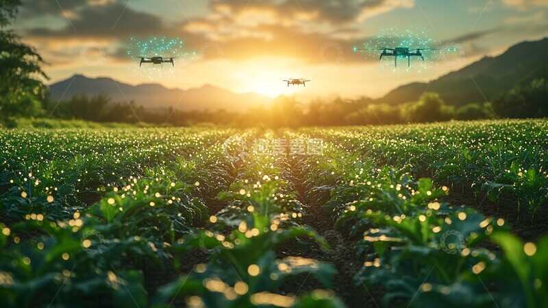 高清大图下载【趣麦麦图】无人机精准灌溉3