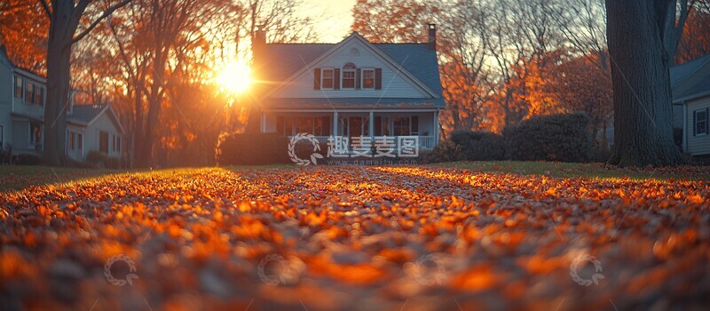 高清大图下载【趣麦麦图】阳光下的新家1