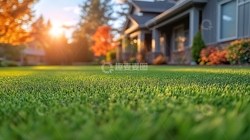 高清大图下载【趣麦麦图】夏日草坪养护秘诀