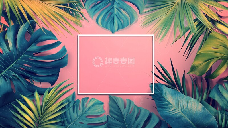 热带叶子方框模板3