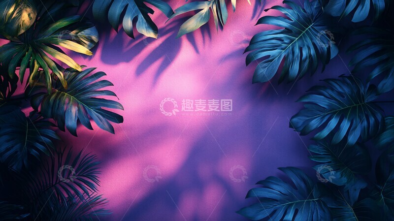 高清大图下载【趣麦麦图】紫色粉色渐变墙面2